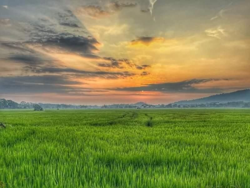 Lake Front Yala Safari Катарагама Екстериор снимка