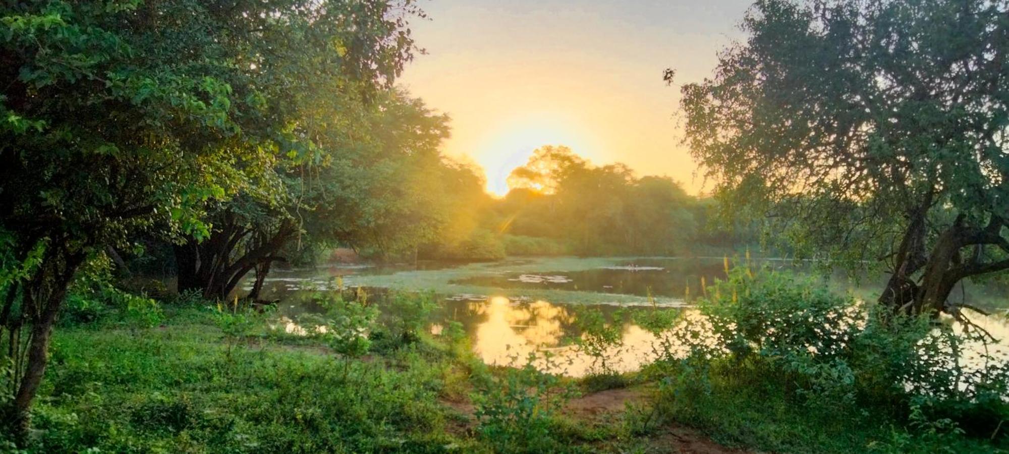 Lake Front Yala Safari Катарагама Екстериор снимка