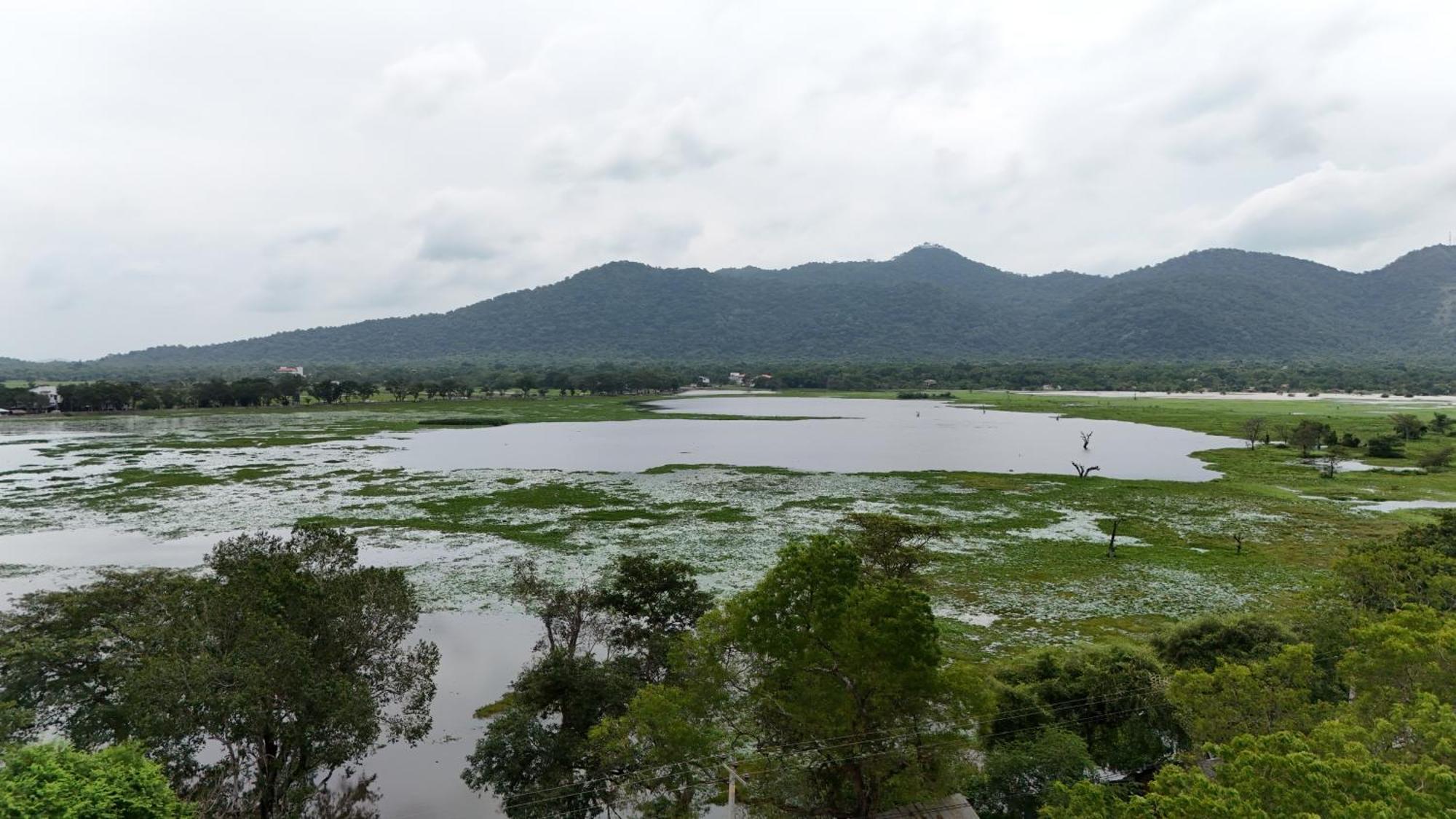 Lake Front Yala Safari Катарагама Екстериор снимка