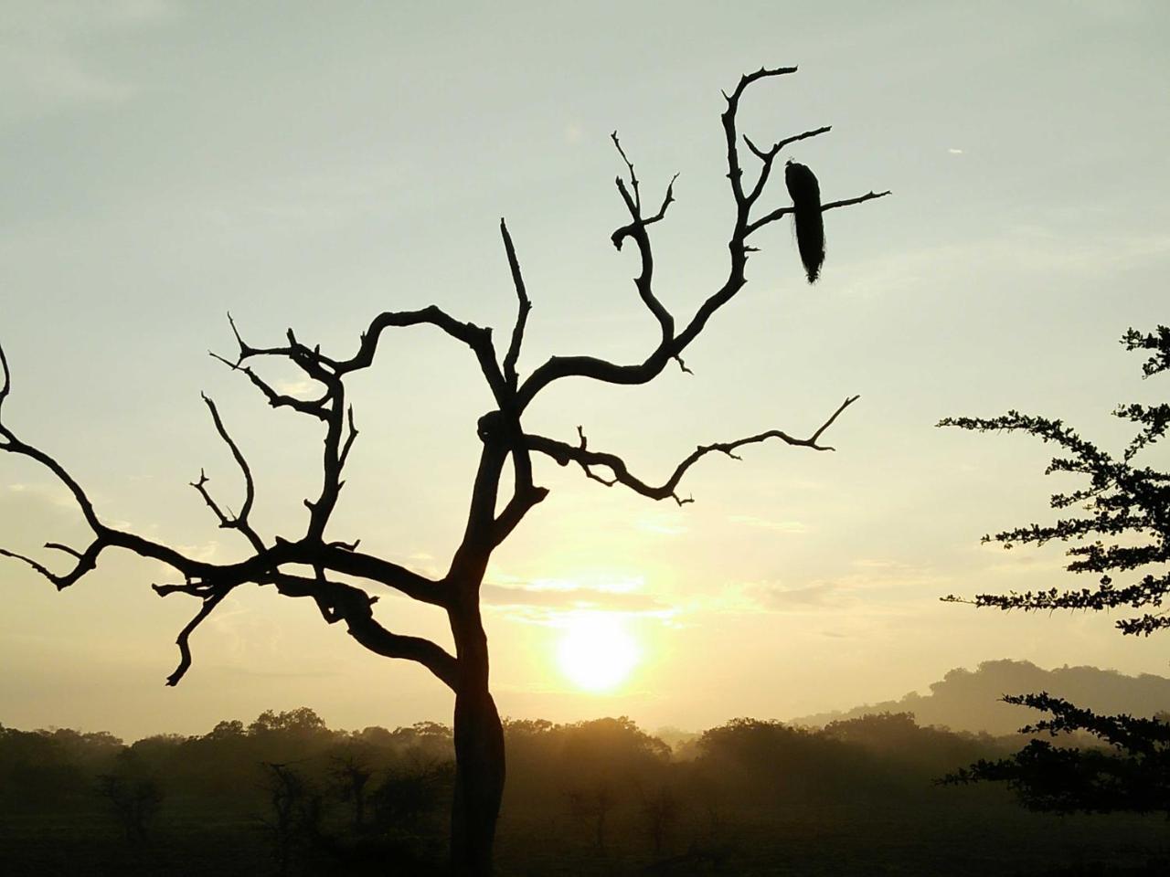 Lake Front Yala Safari Катарагама Екстериор снимка